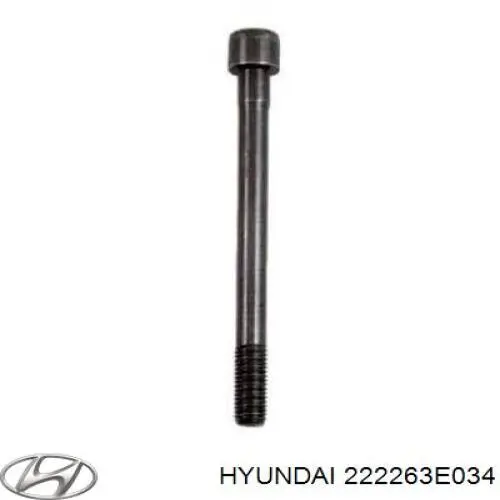 222263E034 Hyundai/Kia