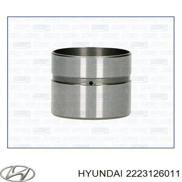 Taqués hidráulicos Hyundai/Kia 2223126011 precio, desde 11,19 EUR