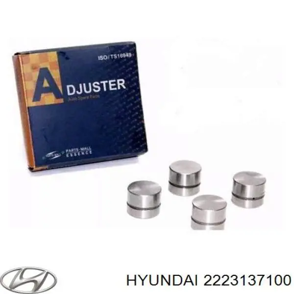 Taqués hidráulicos Hyundai/Kia 2223137100 precio, desde 11,19 EUR