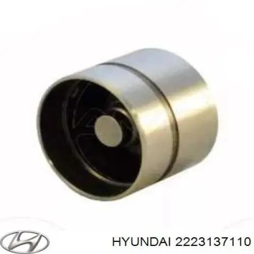 Taqués hidráulicos Hyundai/Kia 2223137110 precio, desde 11,19 EUR
