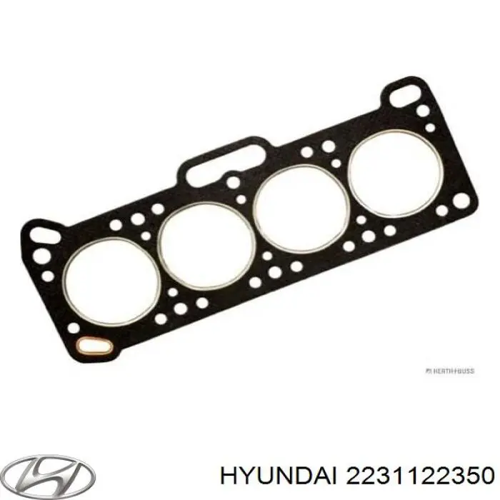 N00500H Hyundai/Kia junta de culata