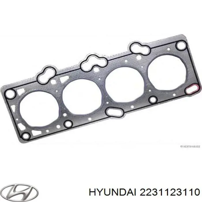 2231123110 Hyundai/Kia