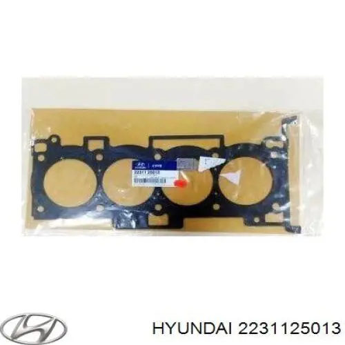 Junta de culata Hyundai Ix35 LM