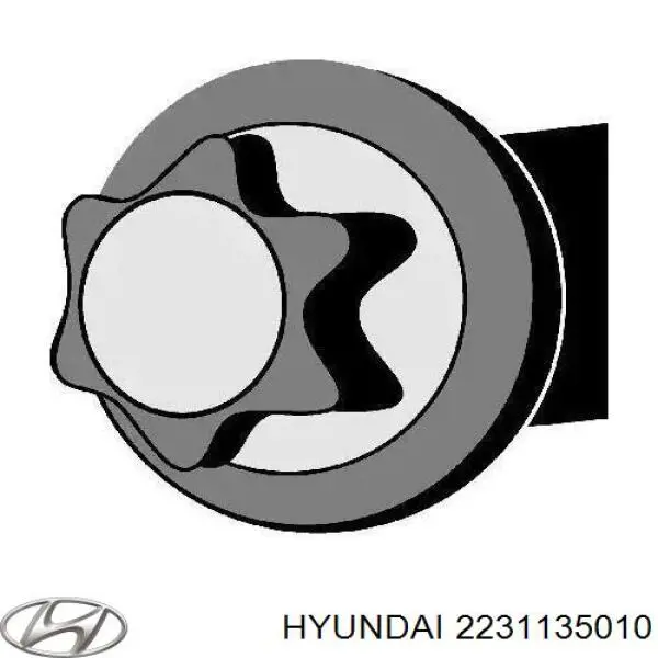 2231135010 Hyundai/Kia