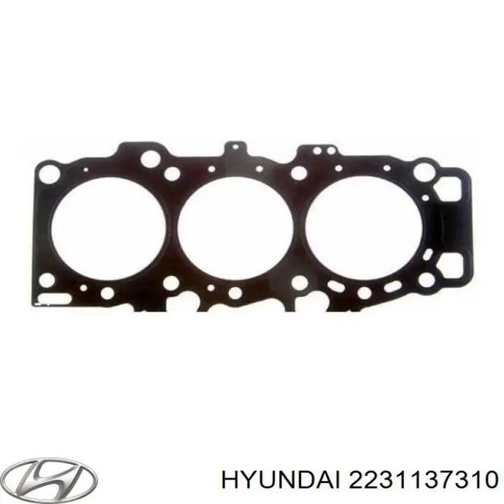 Junta de culata izquierda para Hyundai Sonata (EU4)