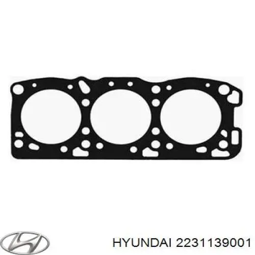 2231139001 Hyundai/Kia