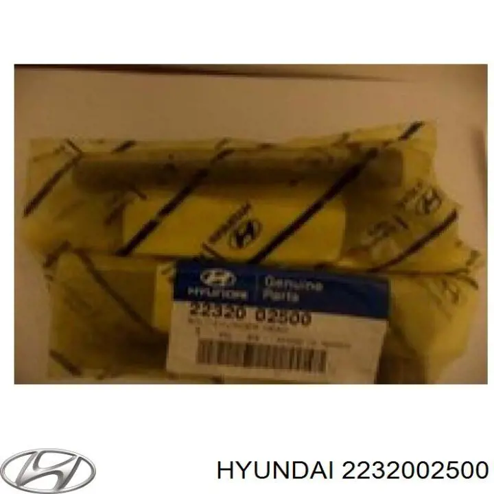 2232002500 Hyundai/Kia tornillo de culata