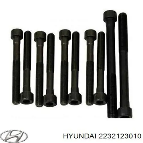 2232123010 Hyundai/Kia tornillo de culata
