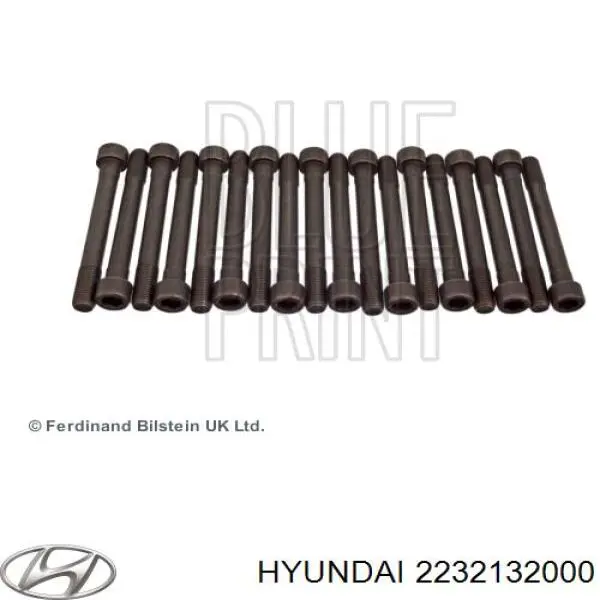 Juego tornillos culata Hyundai/Kia 2232132000 precio, desde 26,77 EUR
