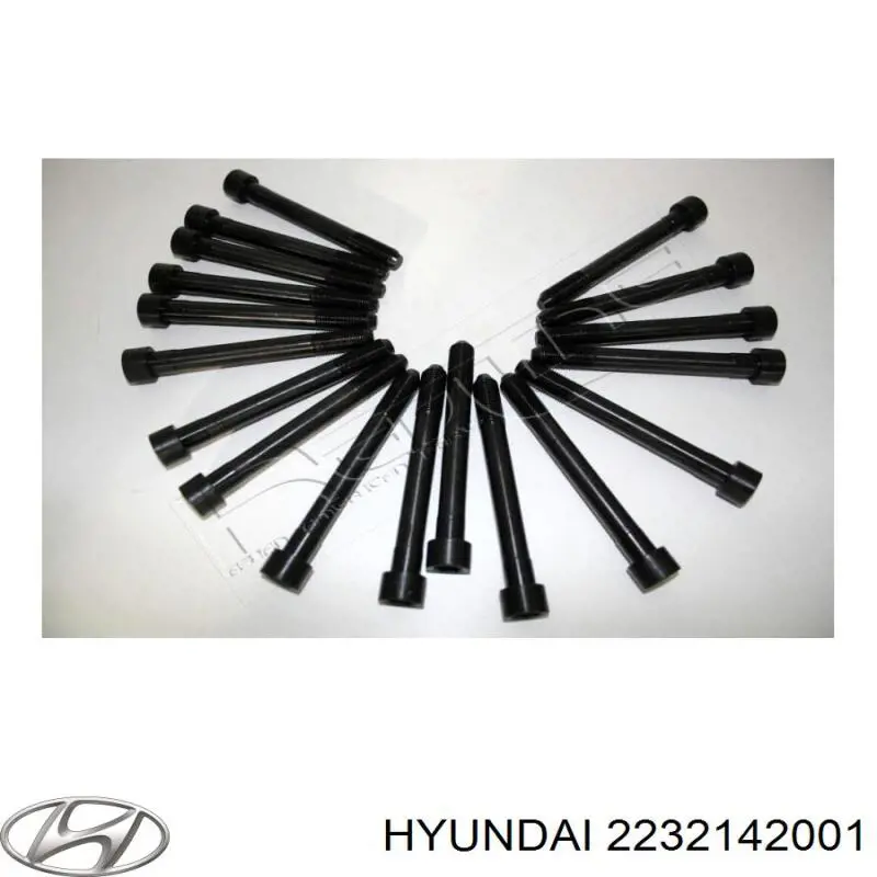 Juego tornillos culata Hyundai/Kia 2232142001 precio, desde 26,77 EUR