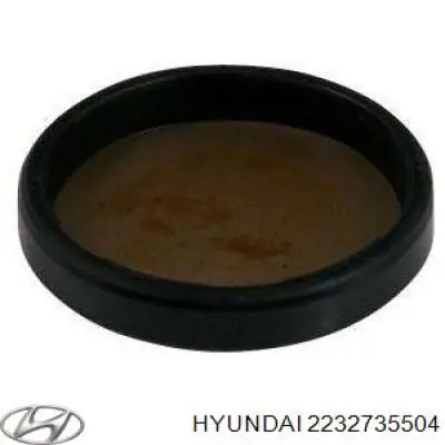 2232735504 Hyundai/Kia tapón de culata