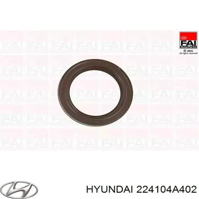 Tapa de la válvula Hyundai/Kia 224104A402 precio, desde 129,89 EUR