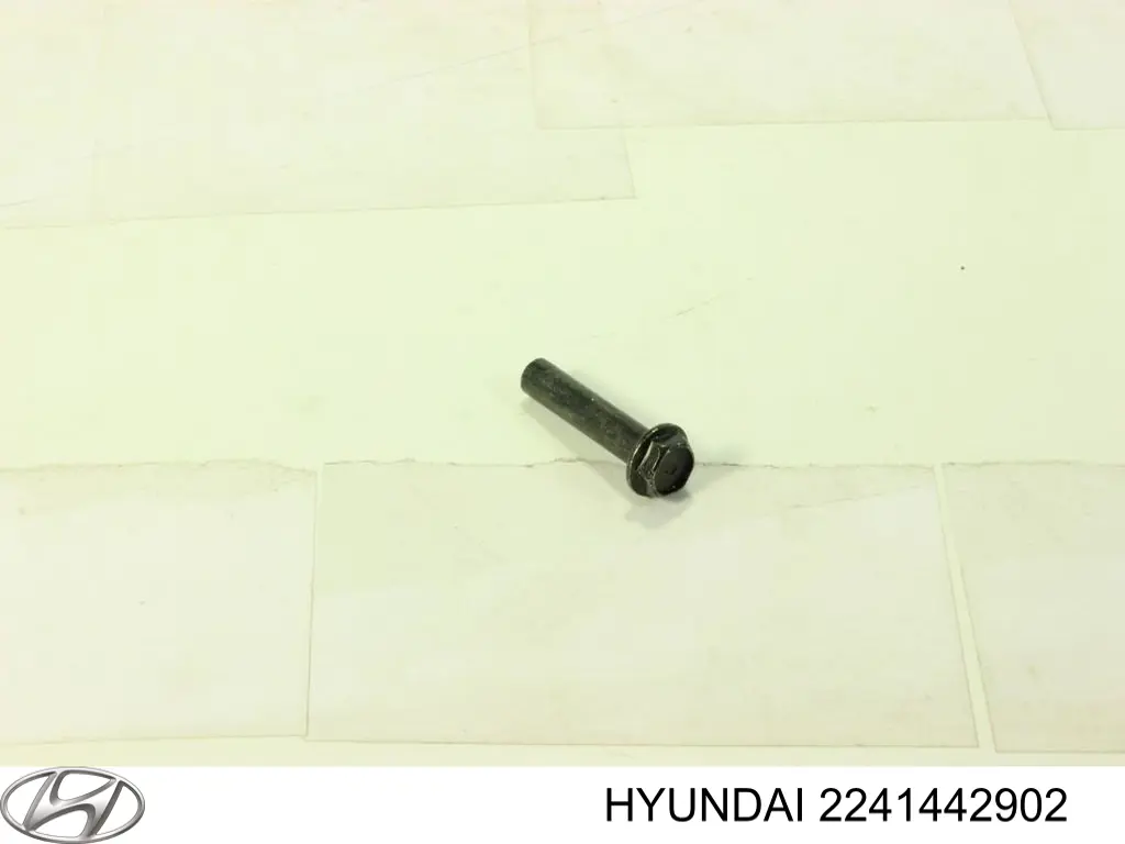 2241442902 Hyundai/Kia