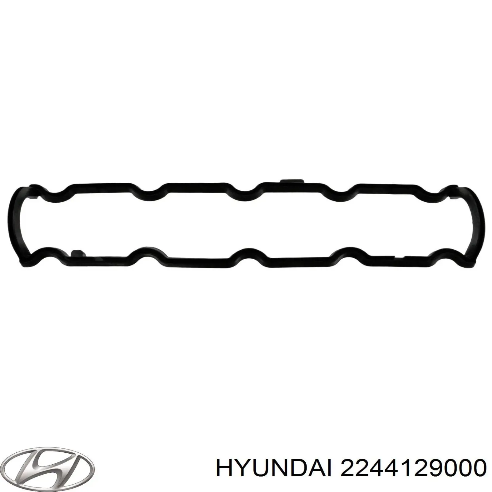 2244129000 Hyundai/Kia