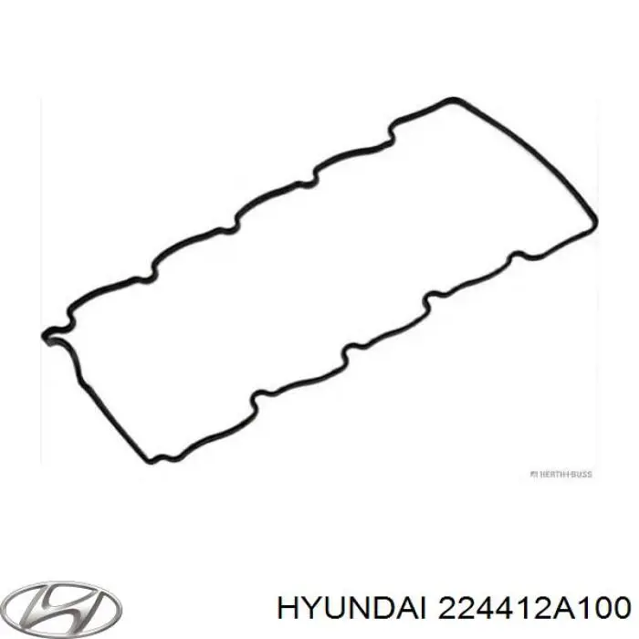 Junta tapa válvula Hyundai/Kia 224412A100 precio, desde 14,76 EUR