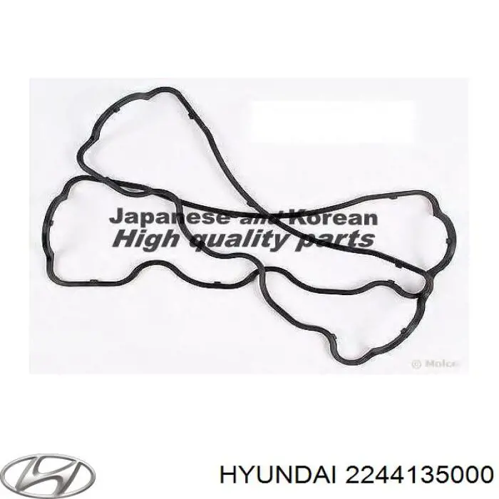 2244135000 Hyundai/Kia juego de juntas, tapa de culata de cilindro, anillo de junta