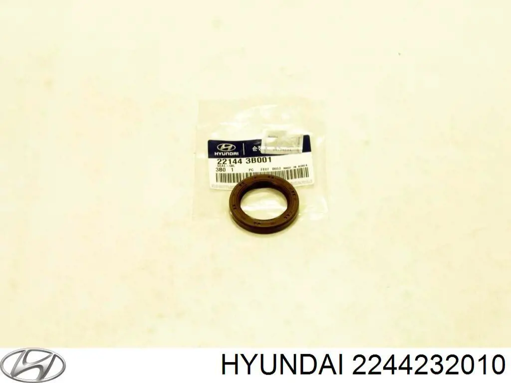 2244232010 Hyundai/Kia junta de tapa valvula de motor, segmento trasero