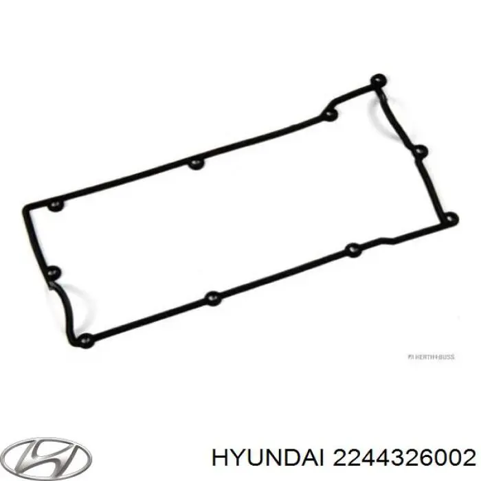 Anillo de sellado del pozo de la bujía Hyundai/Kia 2244326002 precio, desde 3,50 EUR
