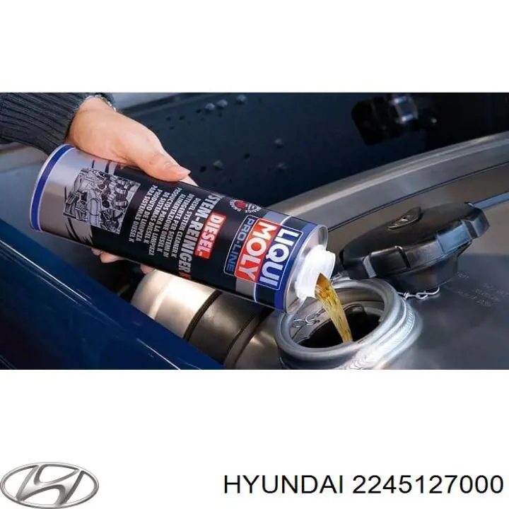 Junta anular, inyector para Hyundai Grandeur (TG)