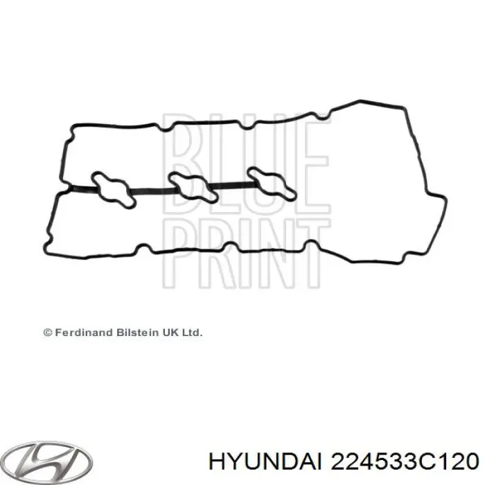 224533C120 Hyundai/Kia junta, tapa de culata de cilindro izquierda