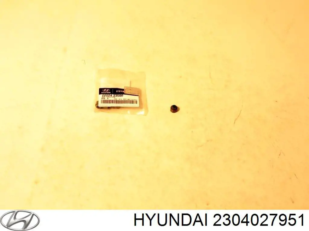 Juego de aros de pistón para motor, sobremedida (+0,25 mm) Hyundai/Kia 2304027951 precio, desde 175,40 EUR