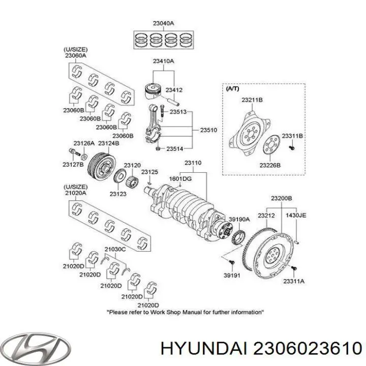 Comprar 2306023610 Hyundai/Kia Cojinetes de biela