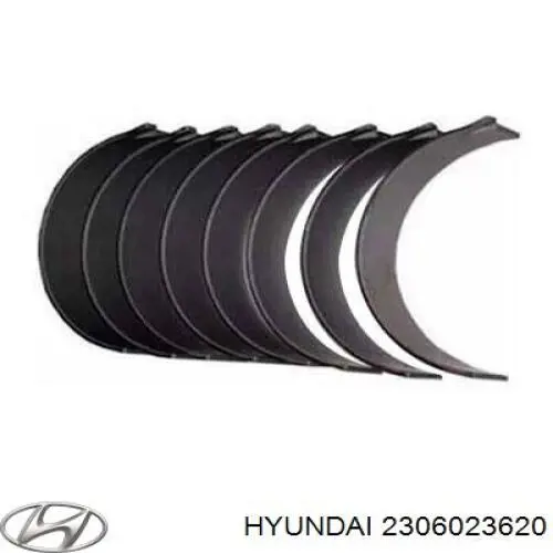 2306023620 Hyundai/Kia cojinetes de biela