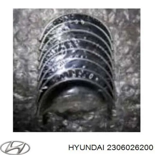 Juego de cojinetes de biela, estándar (STD) Hyundai/Kia 2306026200 precio, desde  EUR
