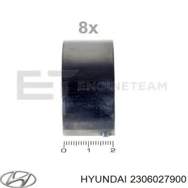 Juego de cojinetes de biela, estándar (STD) Hyundai/Kia 2306027900 precio, desde 23,29 EUR
