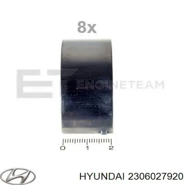 2306027920 Hyundai/Kia cojinetes de biela