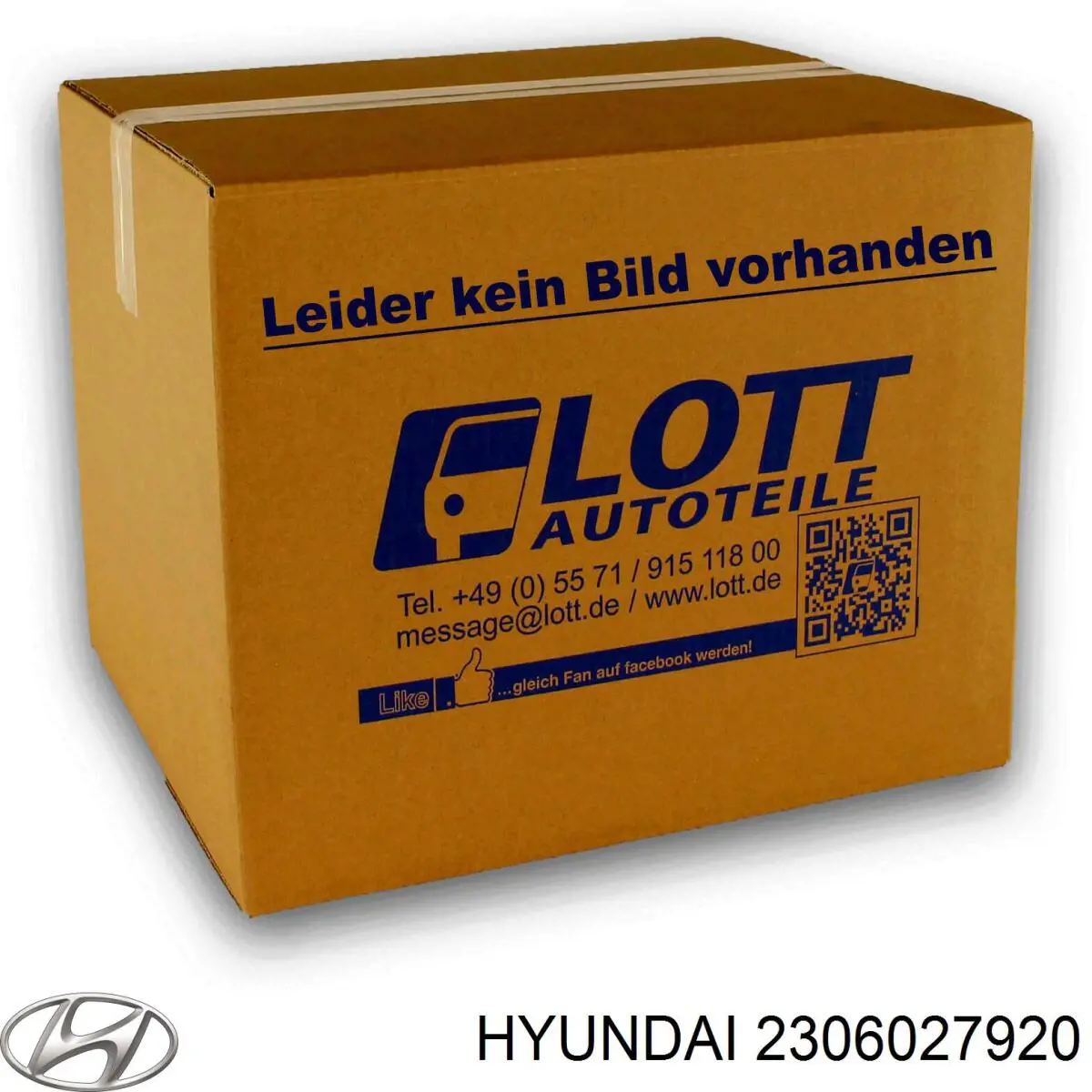 Juego de cojinetes de biela, estándar (STD) Hyundai/Kia 2306027920 precio, desde 23,29 EUR