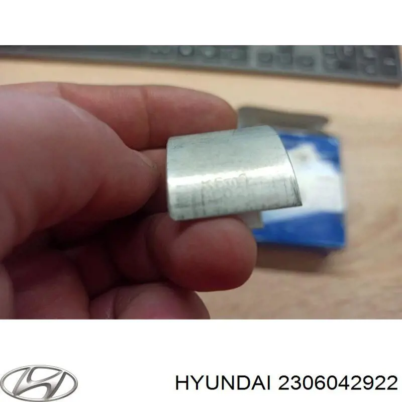 Cojinetes de biela, cota de reparación +0,25 mm para Hyundai Terracan (HP)