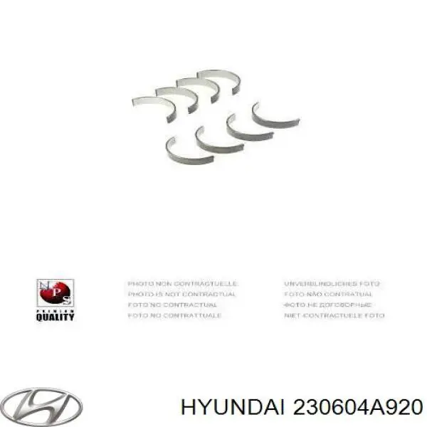 Juego de cojinetes de biela, estándar (STD) para Hyundai H-1 STAREX 