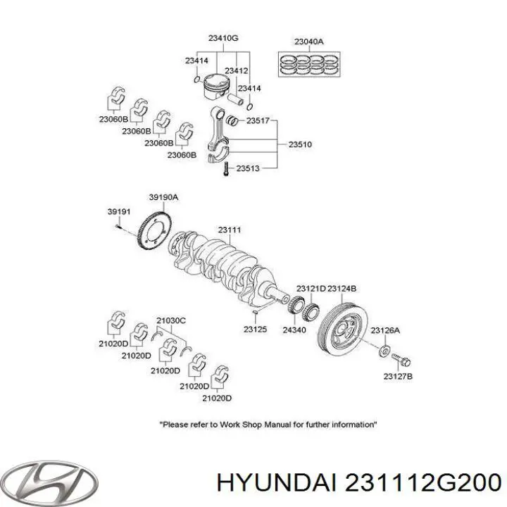 Cigüeñal para Hyundai Santa Fe (TM, TMA)