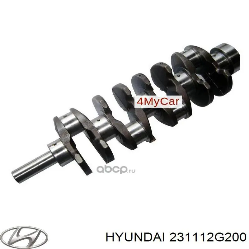 Q2990183 Q-fix Cigüeñal