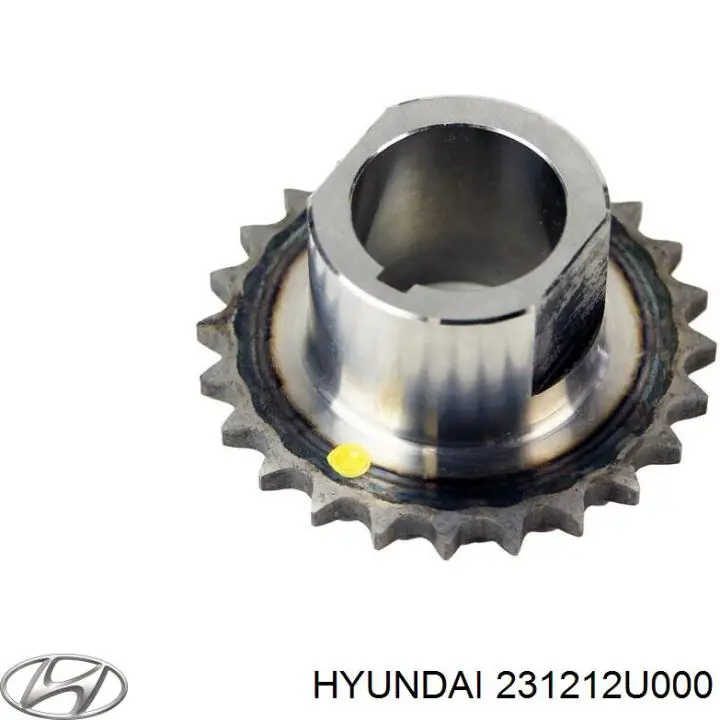 231212U000 Hyundai/Kia