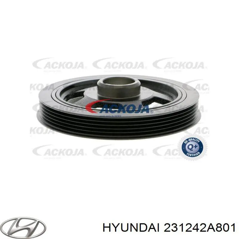 231242A801 Hyundai/Kia polea, cigüeñal