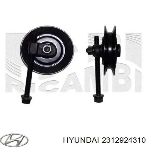 2312924310 Hyundai/Kia polea tensora correa poli v