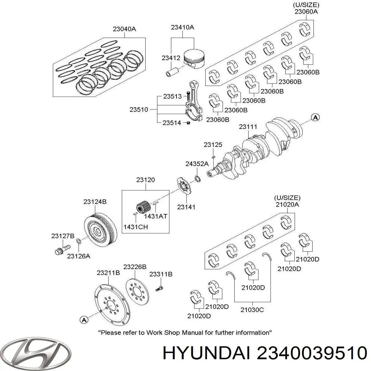 Pistón para Hyundai Terracan (HP)