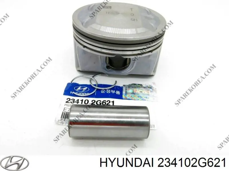 234102G621 Hyundai/Kia