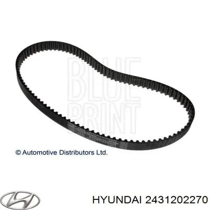 2431202270 Hyundai/Kia correa distribucion