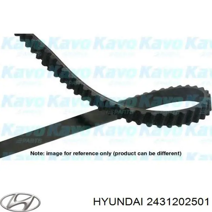 100YU20 Dongil Correa dentada