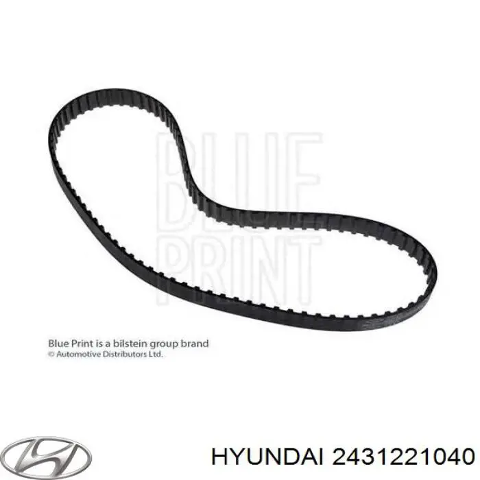 2431221040 Hyundai/Kia correa distribución