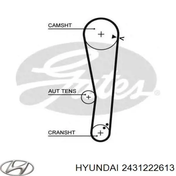 2431222613 Hyundai/Kia correa distribucion