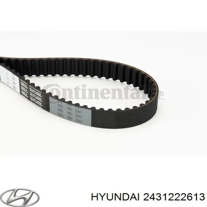 Comprar 2431222613 Hyundai/Kia Correa distribución