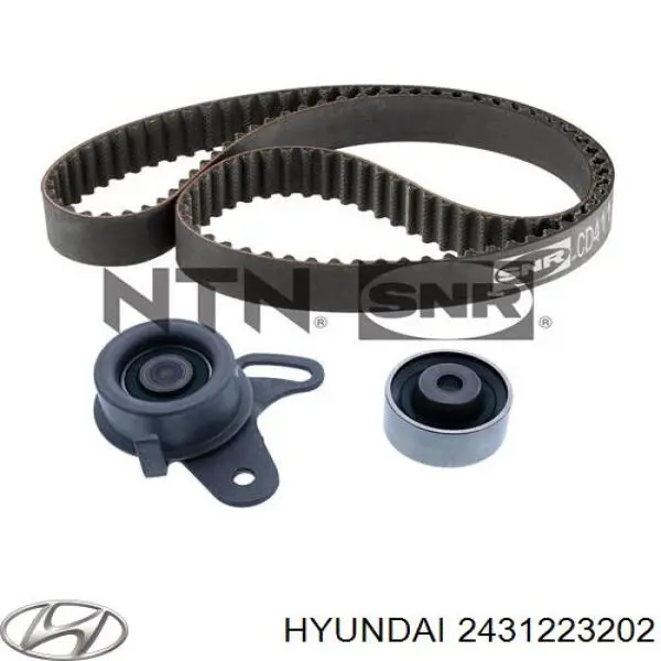 Correa de distribución Hyundai/Kia 2431223202