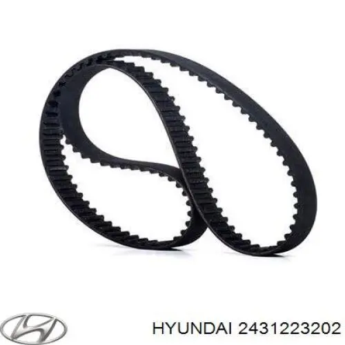 2431223202 Hyundai/Kia correa distribucion