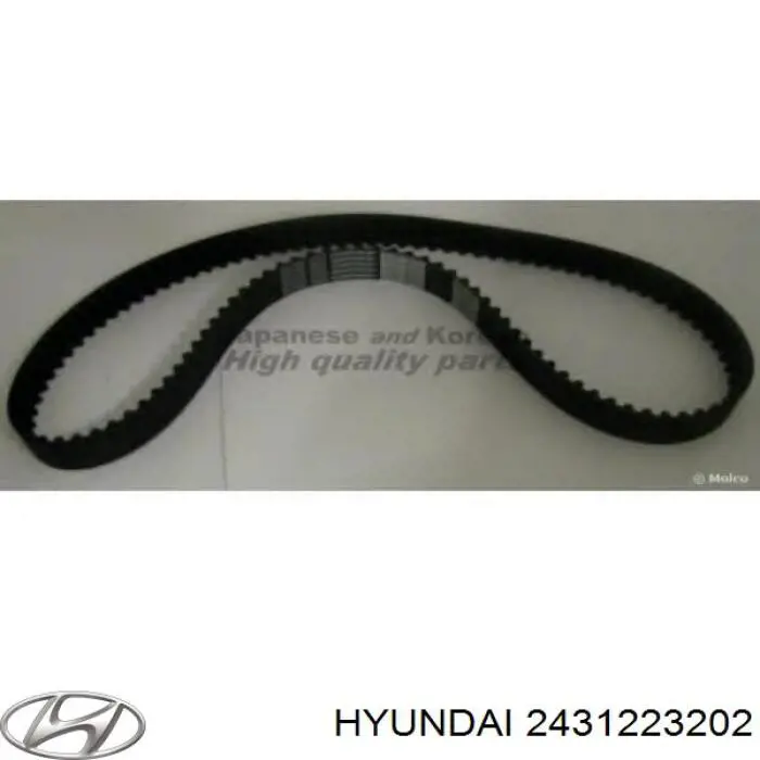 Comprar 2431223202 Hyundai/Kia Correa distribución