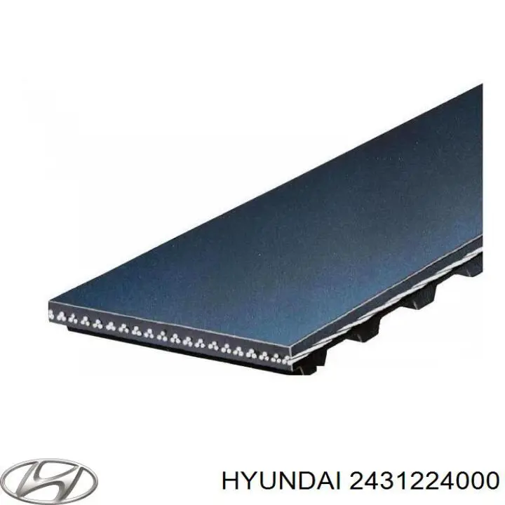 2431224000 Hyundai/Kia correa distribucion