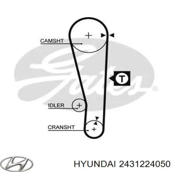 2431224050 Hyundai/Kia correa distribucion